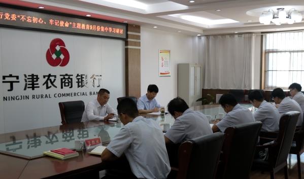 图片新闻：宁津农商银行党委召开“不忘初心、牢记使命”主题教育9月份集中学习研讨_副本